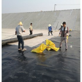 重庆土工膜  厂家直销 氧化塘沼气池 免费寄样