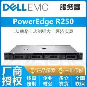 成都戴尔服务器DELL PowerEdge R250机架式服务器15代新款按需定制