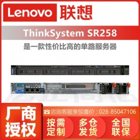 联想Lenovo ThinkSystem SR258/SR250 机架式服务器存储备份/ERP软件主机