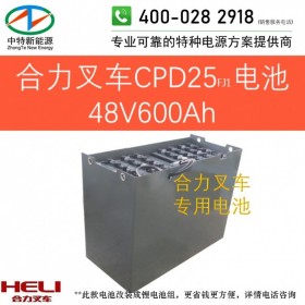 合力CPD25FJ1电动叉车电池48V600Ah天能叉车电池组48V/D-600或48V4PZS600以旧换新可铅酸改锂电