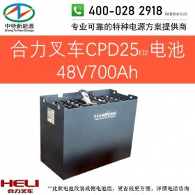 合力CPD25FJ2电动叉车电池48V700Ah天能叉车电池组48V/D-700或48V7PZB700以旧换新可铅酸改锂电