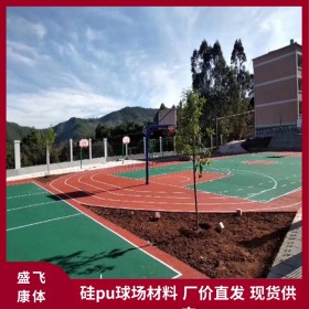 2022胜飞康体专业施工硅pu球场 硅pu篮球场 塑胶地面 缓冲性良好