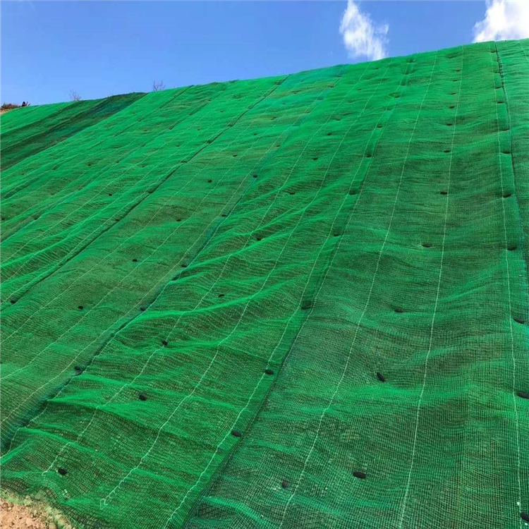 三维植被网厂家批发 三维网垫土绿化环保工网垫绿色