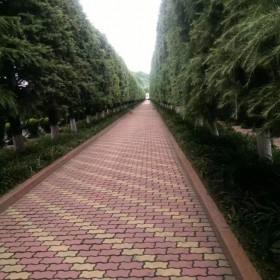 成都温江大朗陵园 各类丧葬形式 定制艺术墓