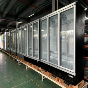 四川冷冻柜生产厂家 保鲜冷冻冰柜定制