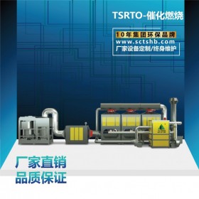 RTO催化燃烧设备 活性炭吸附脱附设备 台盛环保vocs废气处理设备 规格齐全 质优价廉