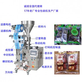 贵阳背封式颗粒包装机 TCZB-160自动计量颗粒包装机械 太川机电全国批发价直销