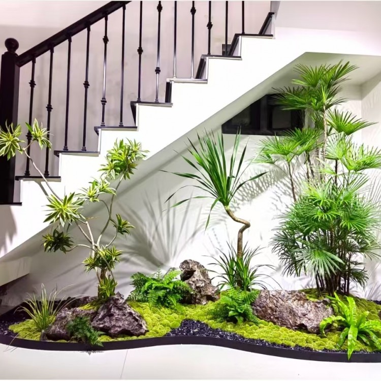 落地盆景酒店室内装饰 植物造景设计 定期养护