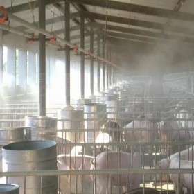 四川广元市养猪场人造雾降温高压喷雾除臭喷雾设备