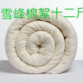 棉花被厂家直销新疆一级棉花棉胎 有网棉被 棉絮棉芯 棉盖被盖12斤一件代发