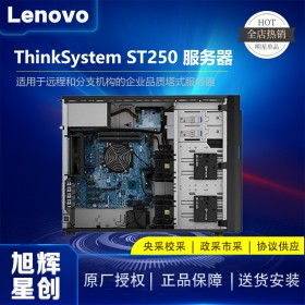 联想（Lenovo）TS250升级ST250服务器主机塔式金蝶用友ERP财务软件台式机