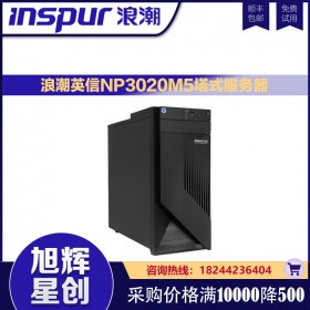 成都浪潮塔式服务器总代理_inspur NP3020M5企业级塔式单路入门级服务器报价促销