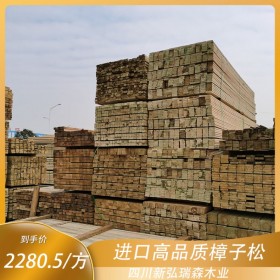 防腐木古建凉亭施工 新弘瑞森定制古建筑 防腐木工程