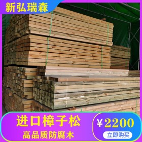 西藏防腐木木屋 专业包工重型木屋 生产防腐木厂家 新弘瑞森 价格实惠