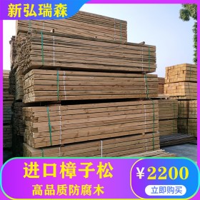 西藏防腐木栈道定制 批发樟子松防腐木 现货防腐木木方 新弘瑞森