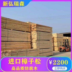 防腐木板材 园林走廊 景观木材 新弘瑞森