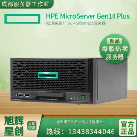 泸州市HPE ProLiant MicroServer Gen10 Plus-惠普服务器泸州市总代理批发