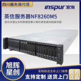 成都浪潮（INSPUR）英信2U四路机架式服务器NF8260M5 金牌5218*2/64G/960G*2+1.8T*2/PM8204/2*800W/导轨