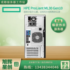 hp/惠普 HP ML30GEN10塔式经济型服务器应用服务器数据库服务器惠普代理商达州市惠普服务器ML30Gen10
