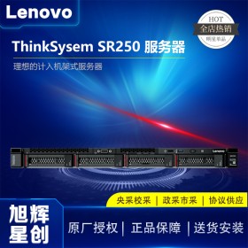 成都联想服务器总代理_Lenovo thinksystem SR250标准化自动管理服务器