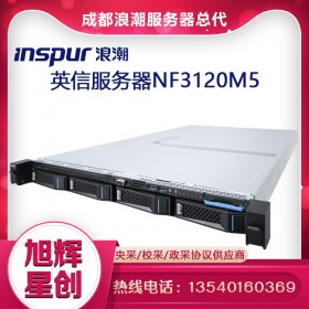 成都浪潮（INSPUR）NP3020M5/NF3120M5 服务器主机代理商报价 NF3120M5 E-2224 4核 单电 16G内存 2*2TSATA+480G