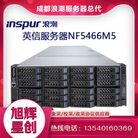 浪潮（INSPUR） NF5466M5服务器主机 4U双路机架式 2颗4210 20核2.4G双电 128G/4T*4/960G*4/阵列卡/双万兆