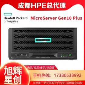 成都惠普服务器批发渠道HPE MicroServer Gen10 Plus 塔式服务器 适用财务超市酒店宾馆销售点数据管理