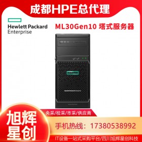 惠普（HP）HPE ML30GEN10塔式服务器主机(替代ML30 GEN9)4个LFF热插拔硬盘位 至强E-2224四核3.4G CPU主机 8G内存+1块2TB硬盘