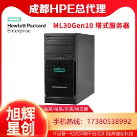 成都惠普服务器全国总经销商_四川HPE服务器代理商_HPE ML30 Gen10 入门级单路企业级塔式双机热备存储服务器