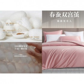 绣美 皋桥纯双宫茧桑蚕丝被 高端大气 支持定制