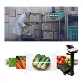 物联网+明厨亮灶系统 厨房数据统计监测系统设计安装
