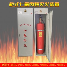 成都双柜式七氟丙烷灭火设备 七氟丙烷灭火系统厂家直销