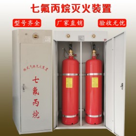 柜式七氟丙烷灭火装置 双瓶柜式七氟丙烷气体灭火系统价格