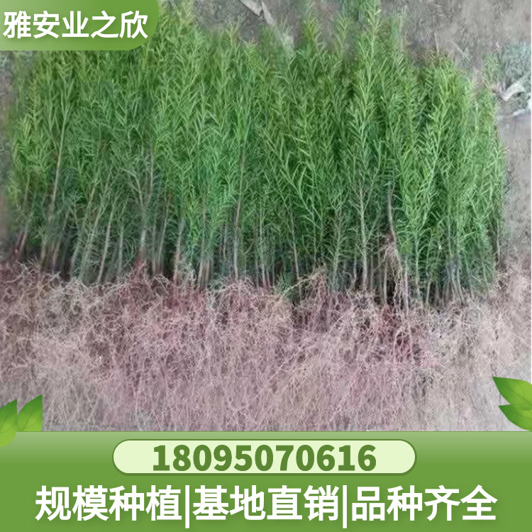 图怪兽_d0c33b27aabb741edc7c4714a2a93234_89142