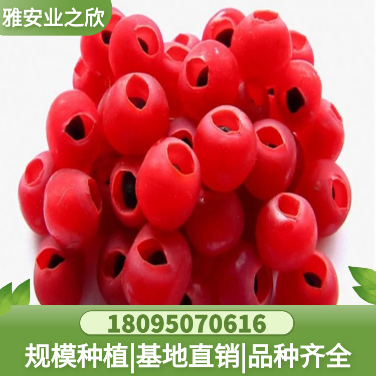 图怪兽_d3ffc138df010f4b9c836224ccca497c_32150