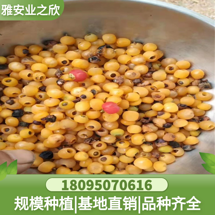 图怪兽_b1e994fd5a00221bd9a477f6ef0ba7c9_48118