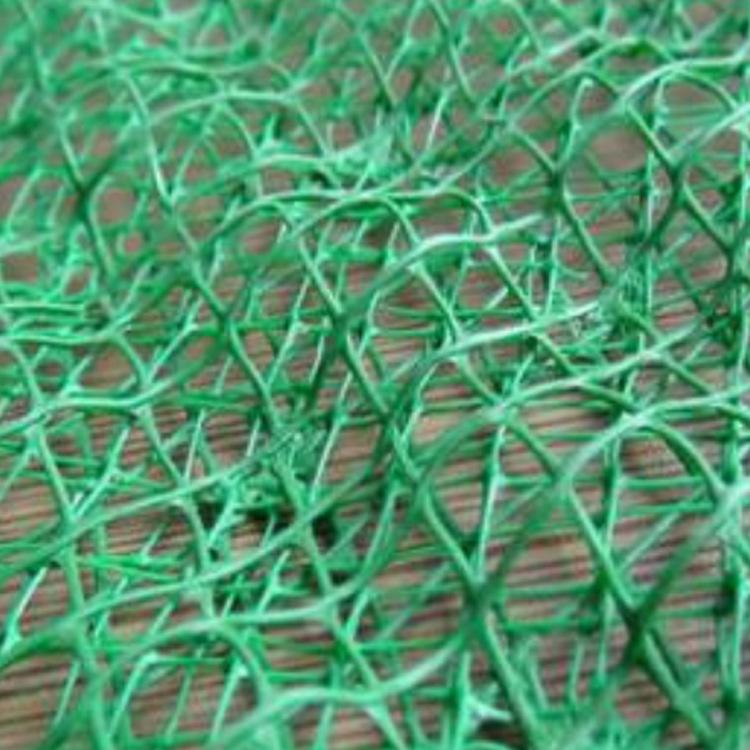厂价直供PVC三维植被网护坡专业共用网防护网种植用网