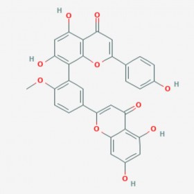 白果双黄酮 白果素 Bilobetin 521-32-4 对照品|标准品