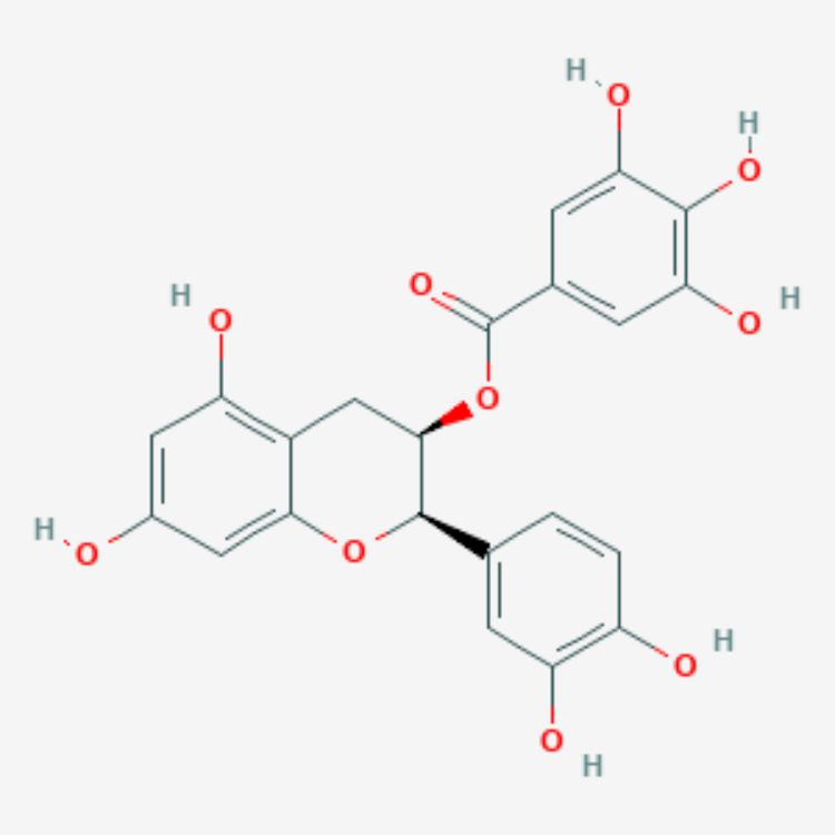 表儿茶素没食子酸酯