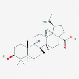 表白桦脂酸 3-表桦木酸 3-Epibetulinic acid  标准品|对照品