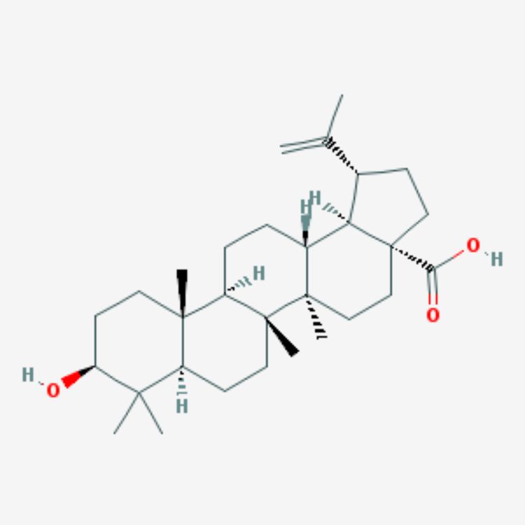 表白桦脂酸