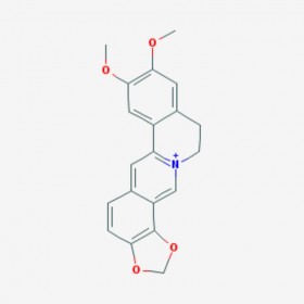 表小檗碱 Epiberberine 6873-09-2 对照品|标准品