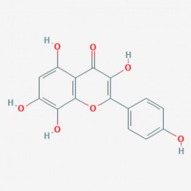 草质素 草棉黄素 527-95-7 Herbacetin 标准品|对照品