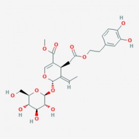 橄榄苦苷 橄榄苦甙 Oleuropein 32619-42-4