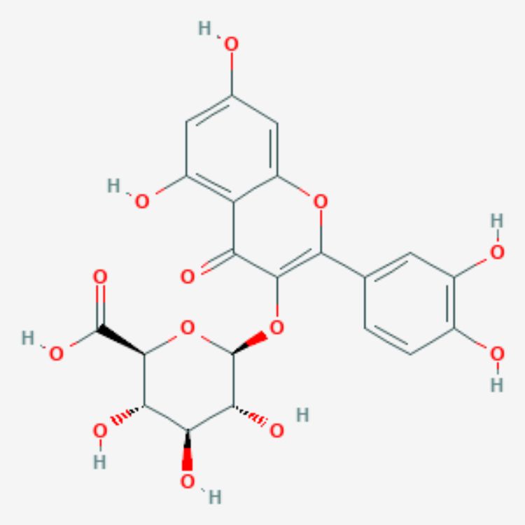 槲皮素-3-葡萄糖醛酸苷
