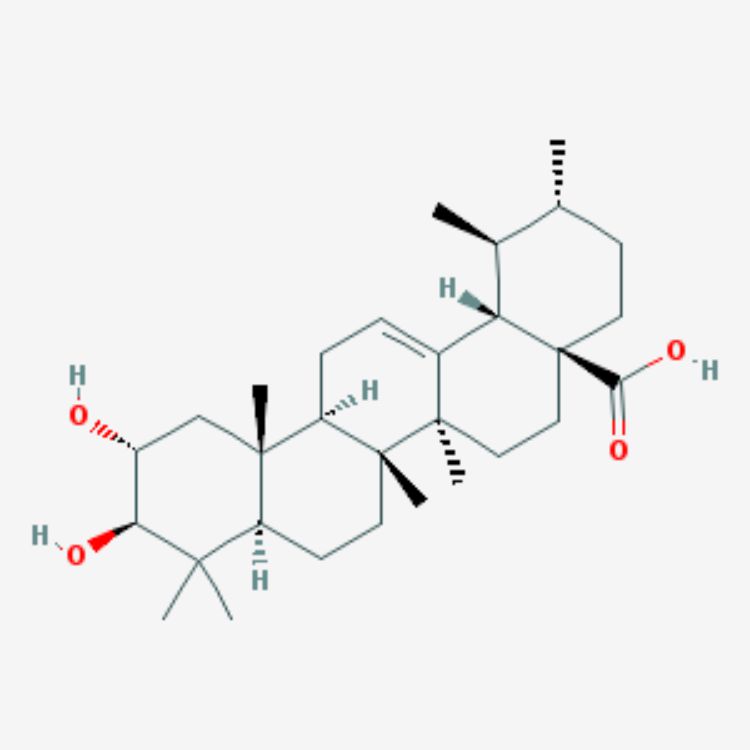 科罗索酸