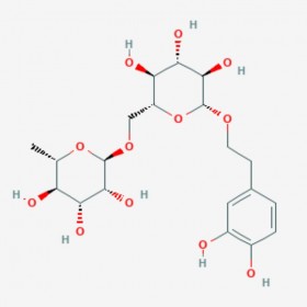 连翘酯苷E 去咖啡酰基连翘酯苷A Forsythoside E 93675-88-8
