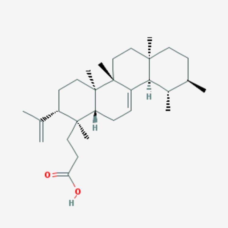 栎樱酸