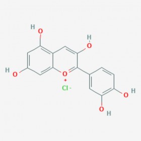 氯化矢车菊素 花青素 Cyanidin Chloride 528-58-5