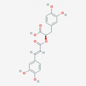 迷迭香酸 Rosmarinic acid 20283-92-5